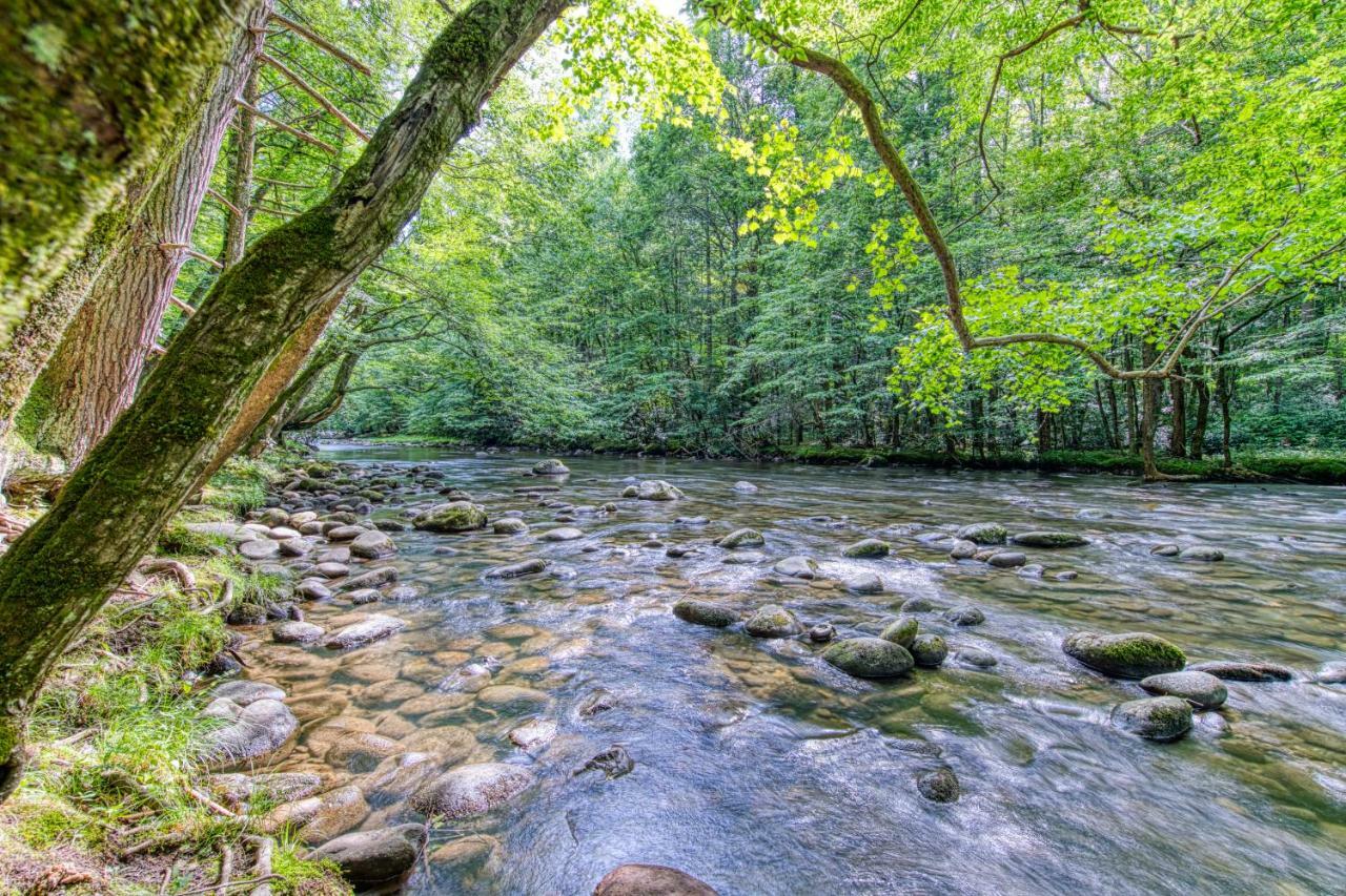 Moose Lodge II Sevierville Bagian luar foto